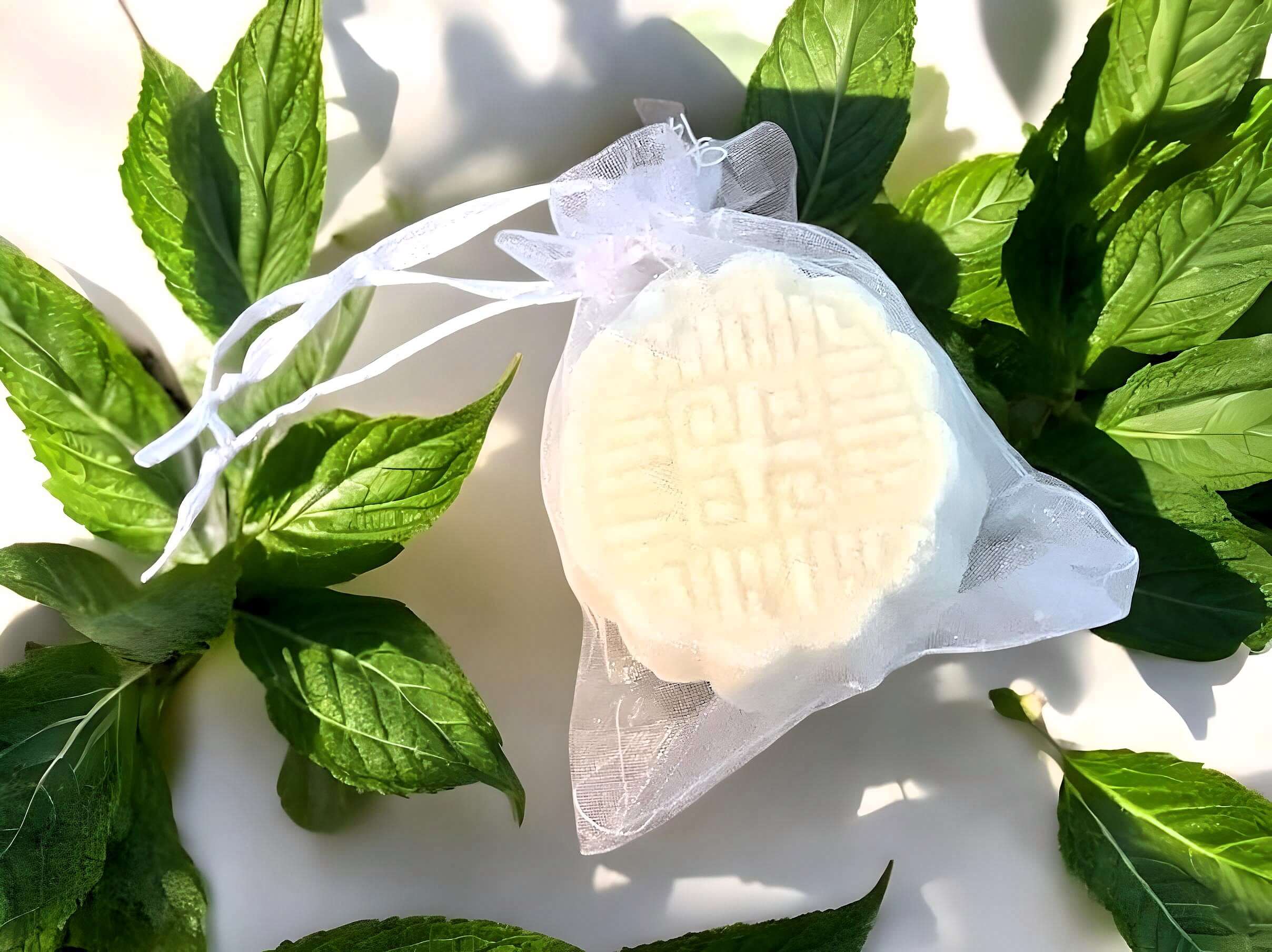 Charleston soy works menthol shower steams