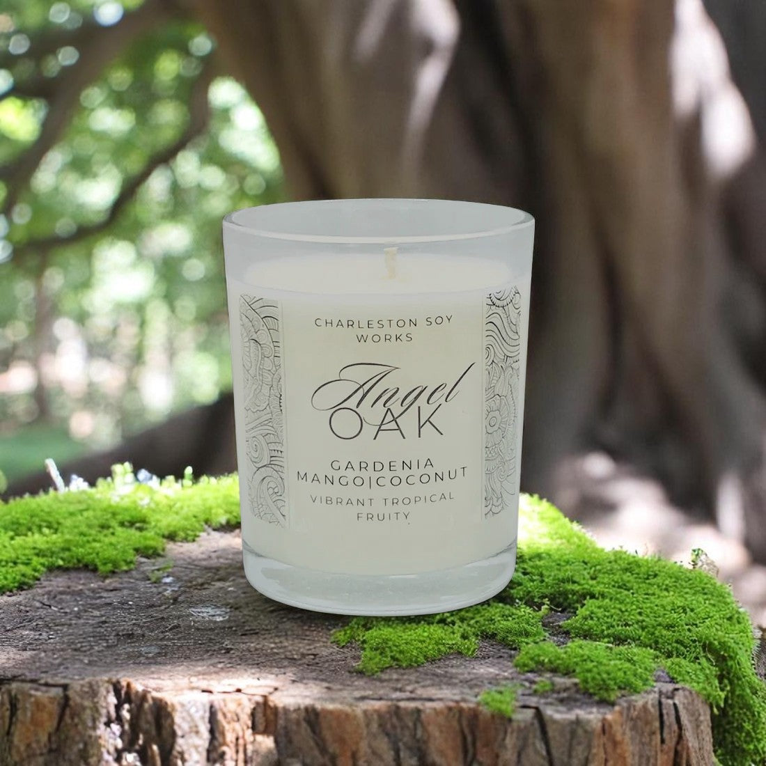 Angel Oak Lotion Candle - Charleston Soy Works