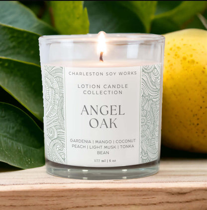 Angel Oak Lotion Candle - Charleston Soy Works